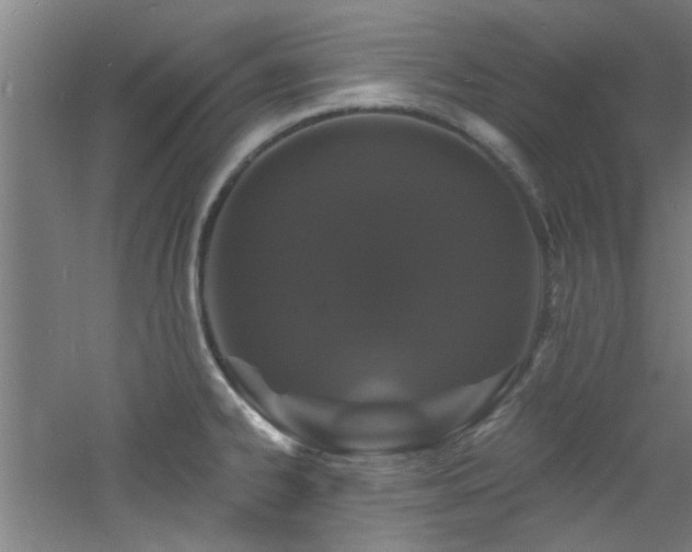 X0000060811334200511101443