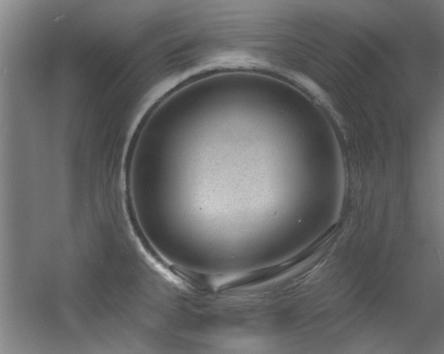 X0000060811335200511101443