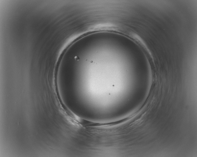 X0000060811336200511101443