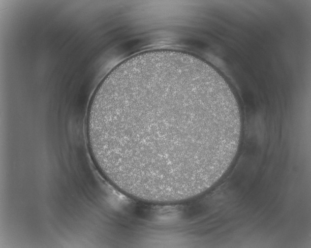 X0000060811338200511101443