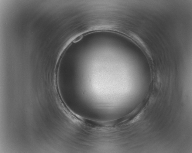 X0000060811340200511101443