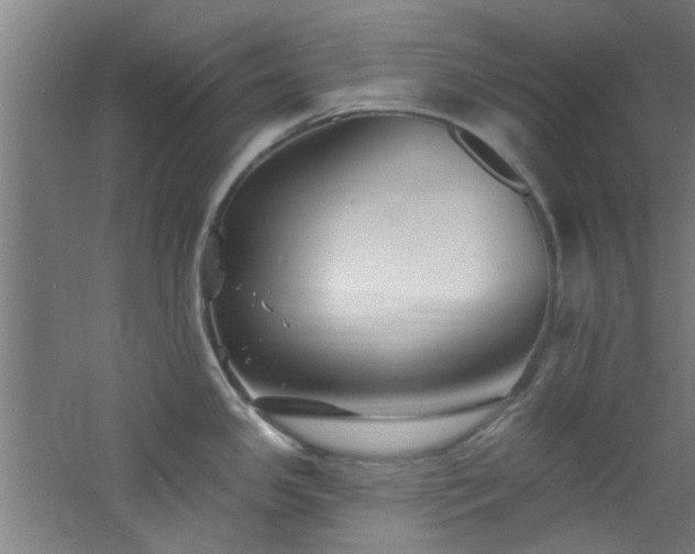 X0000060811341200511101443