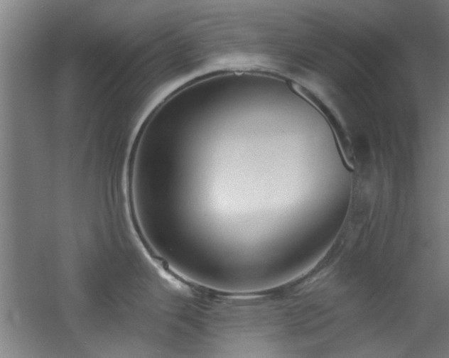 X0000060811343200511101443