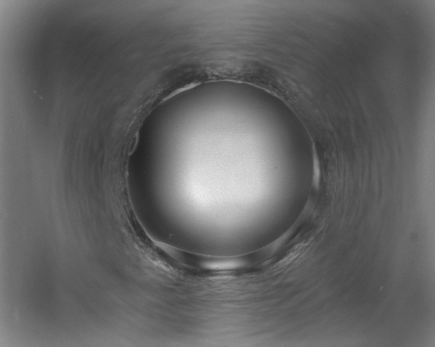 X0000060811345200511101442