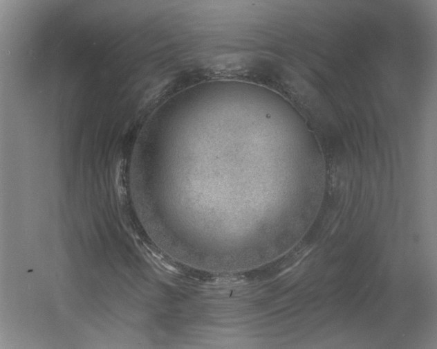 X0000060811346200511101442