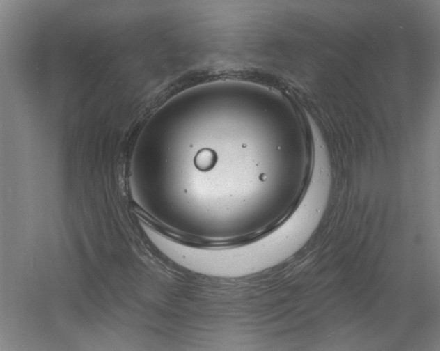 X0000060811348200511101442