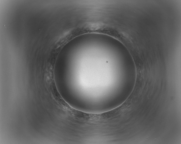 X0000060811349200511101442