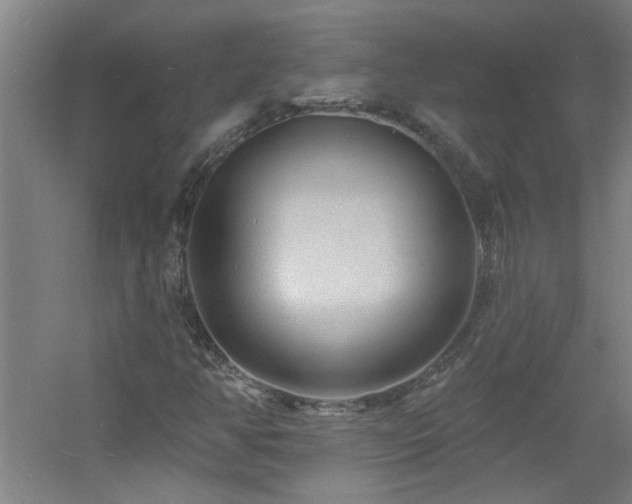 X0000060811350200511101442