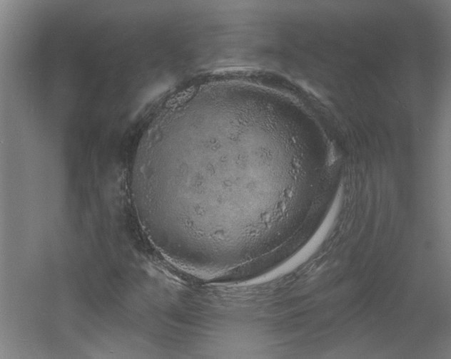 X0000060811351200511101442