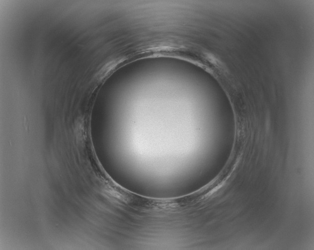 X0000060811353200511101442