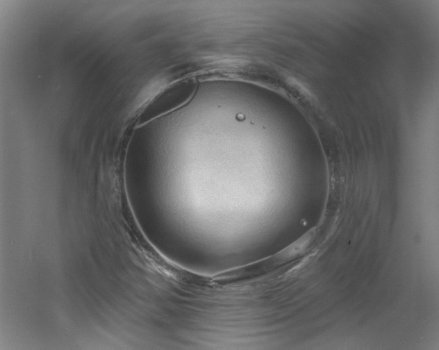 X0000060811354200511101442