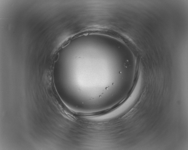 X0000060811355200511101442