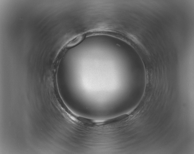 X0000060811356200511101442