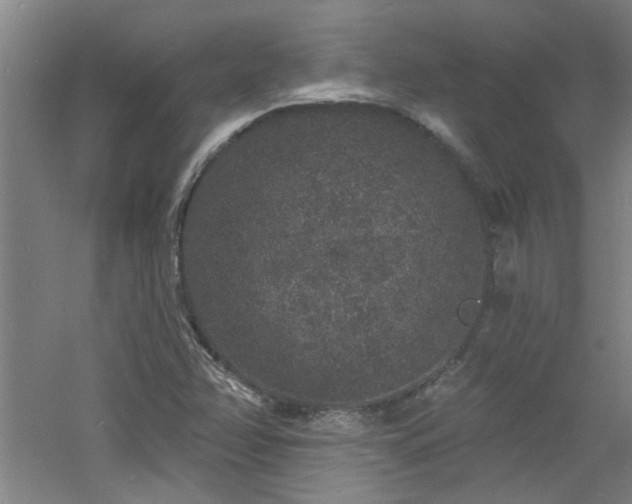 X0000060811358200511101442