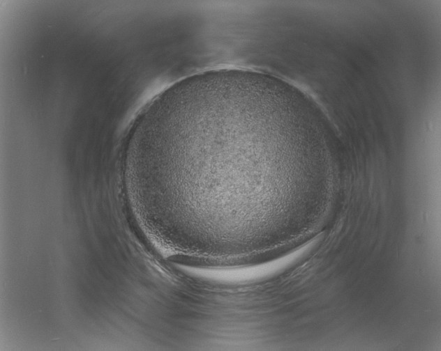 X0000060811359200511101442