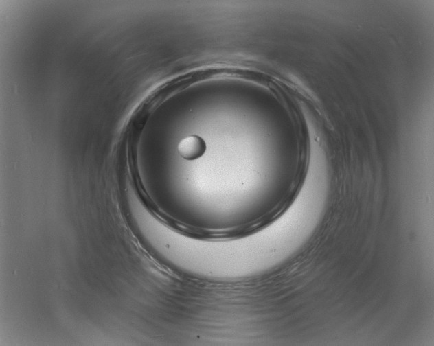 X0000060811360200511101442