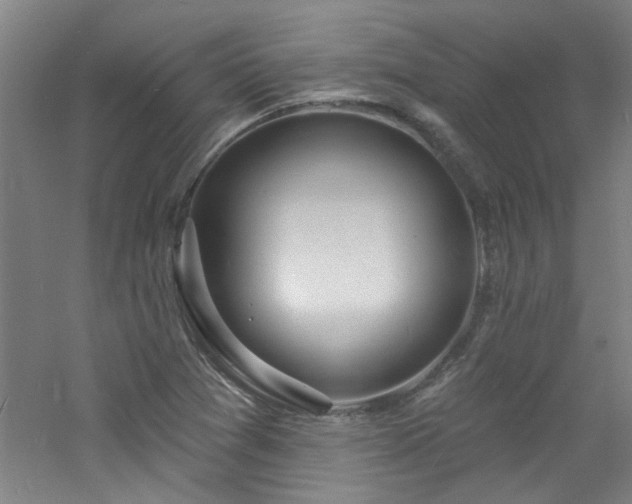 X0000060811361200511101442