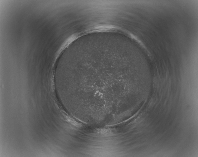 X0000060811362200511101442