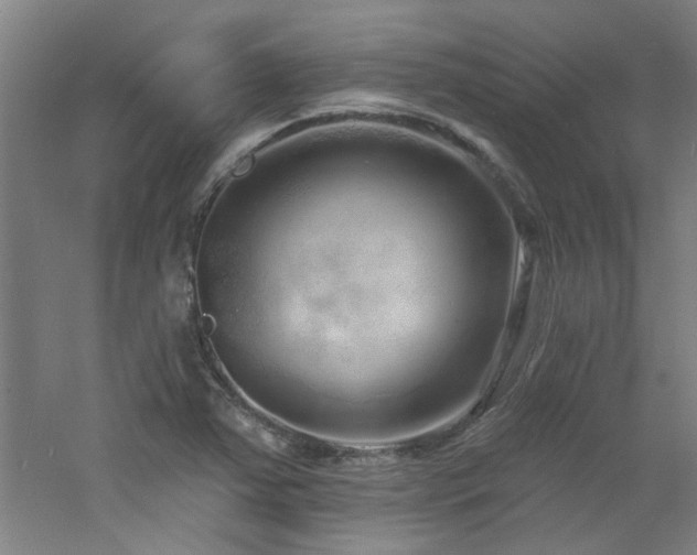 X0000060811363200511101442