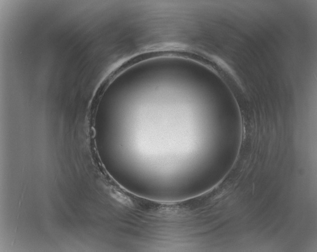 X0000060811364200511101442