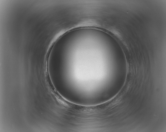 X0000060811366200511101442