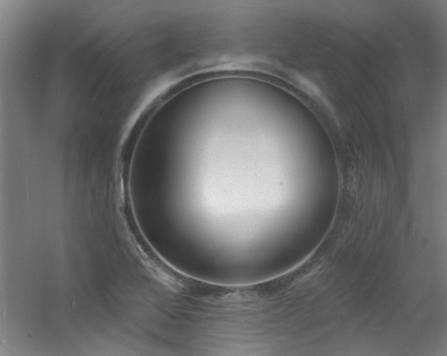 X0000060811368200511101442