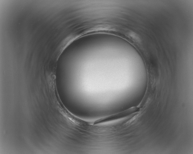 X0000060811369200511101442