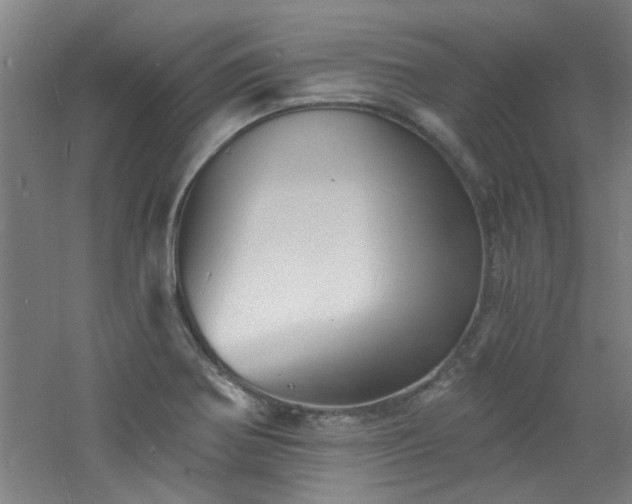 X0000060811370200511101442