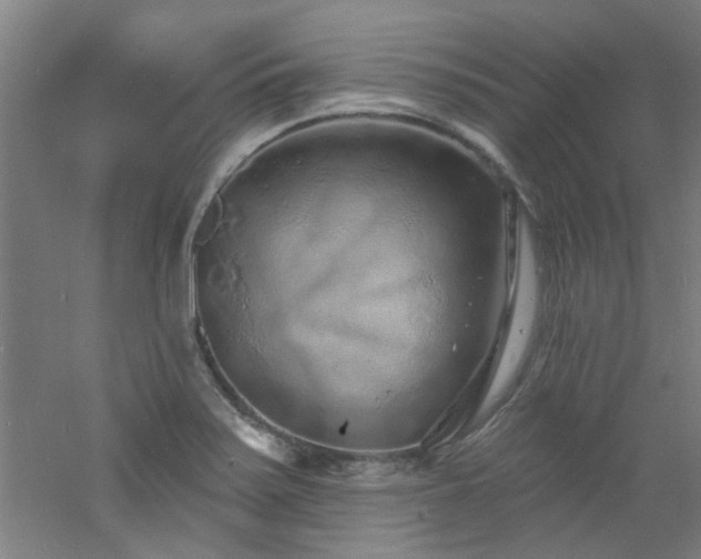 X0000060811371200511101442