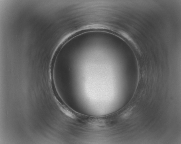 X0000060811372200511101442