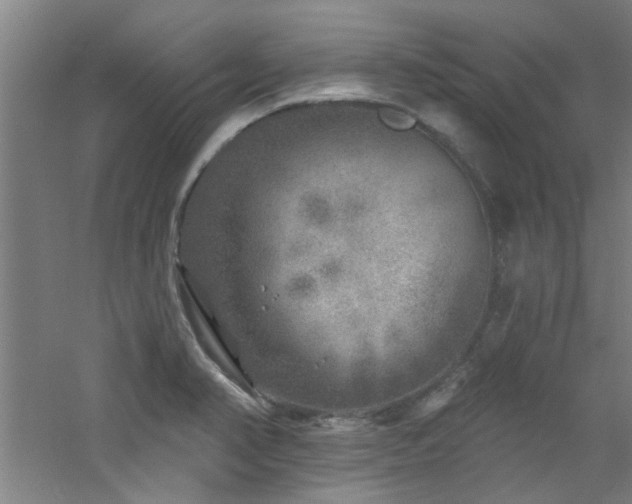 X0000060811374200511101442