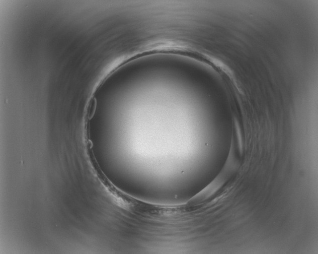 X0000060811375200511101442