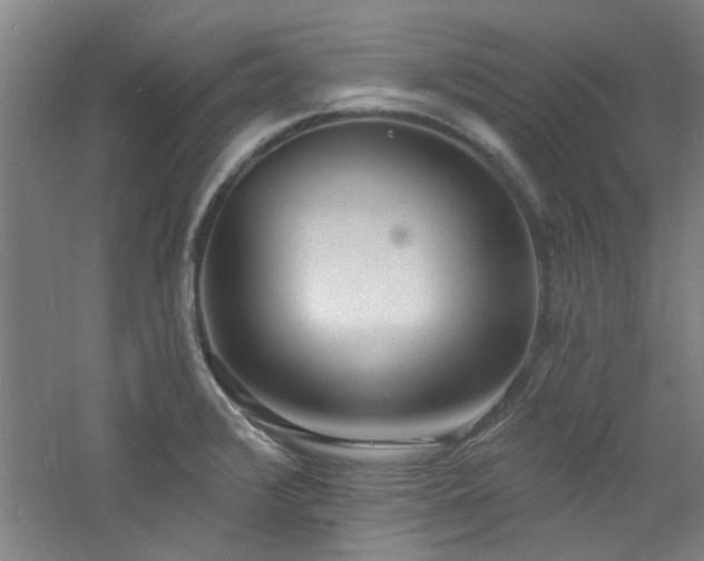 X0000060811376200511101442