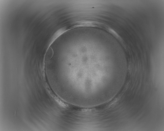 X0000060811378200511101442