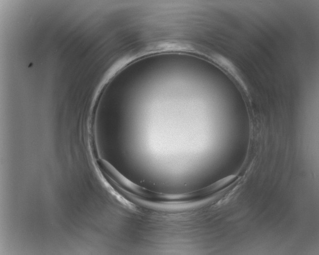 X0000060811381200511101442