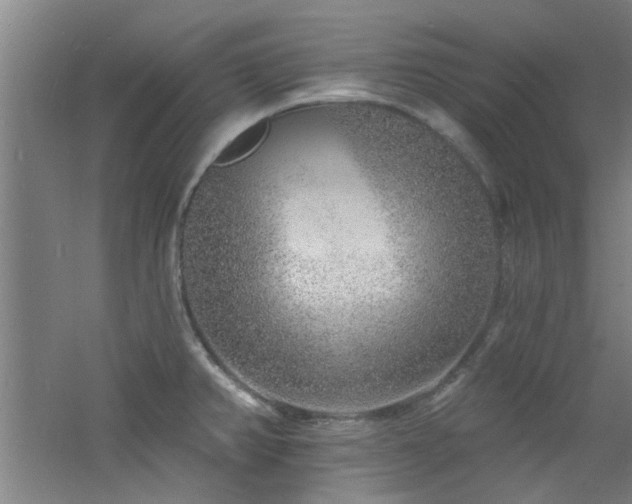 X0000060811382200511101441