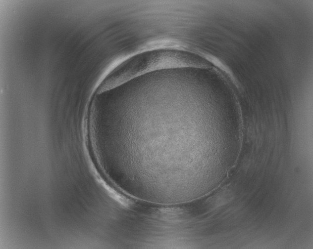 X0000060811383200511101441