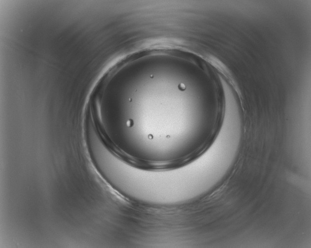 X0000060811384200511101441