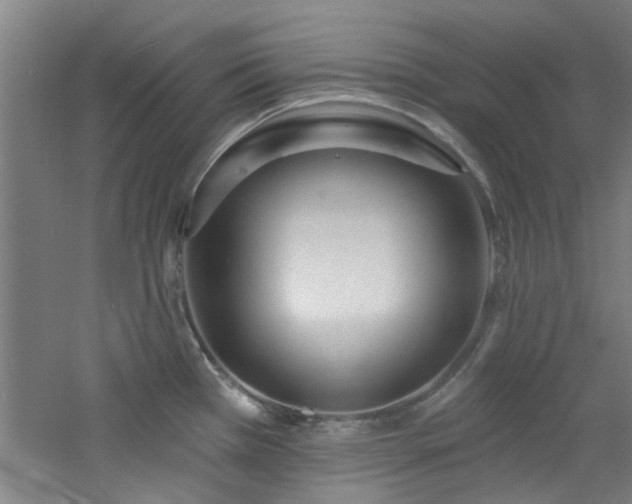 X0000060811385200511101441