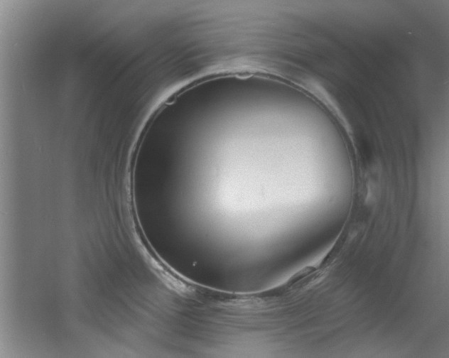 X0000060811388200511101441