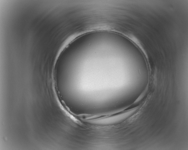 X0000060811389200511101441