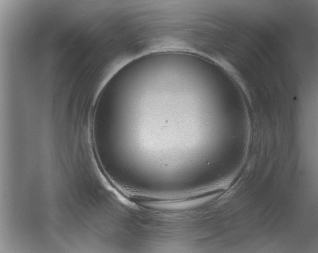 X0000060811390200511101441