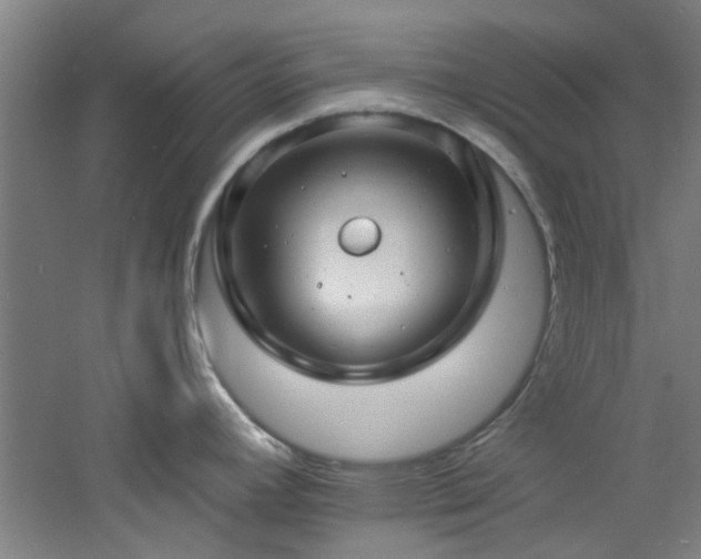 X0000060811392200511101441