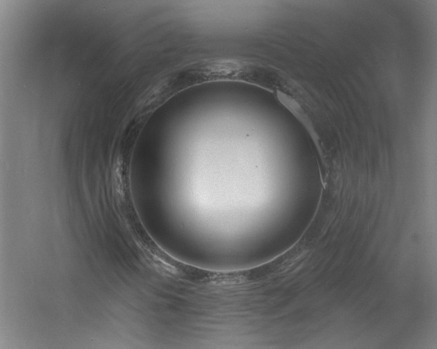 X0000060811394200511101441