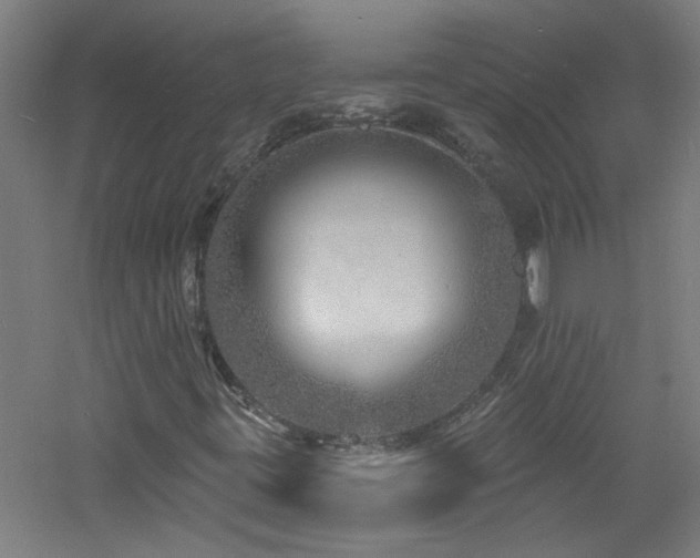 X0000060811395200511101441