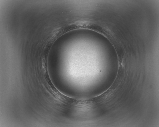 X0000060811396200511101441