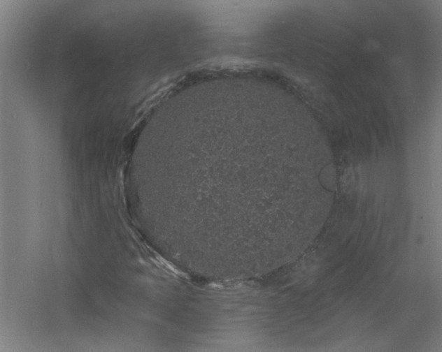 X0000060811397200511101441