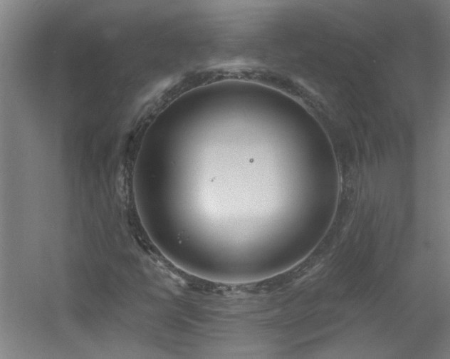 X0000060811398200511101441