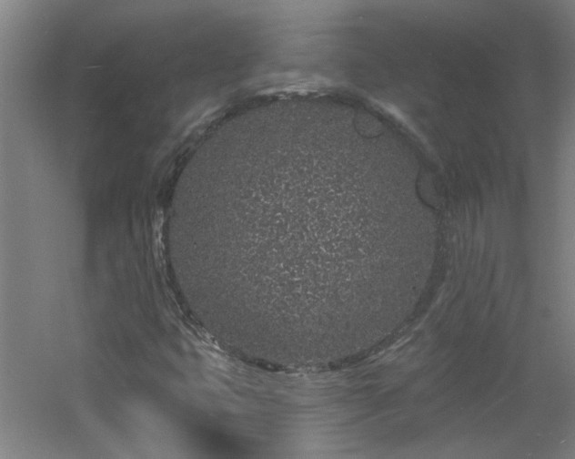 X0000060811399200511101441