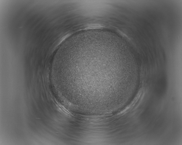 X0000060811401200511101441